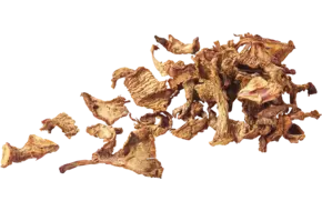 Girolles gedroogd pot 500gr